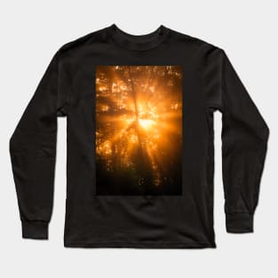 Sunbeam in the Forest Long Sleeve T-Shirt